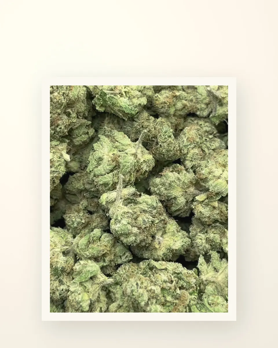 Caked Up Candy hemp THCA flower, greenhouse, on oat linen