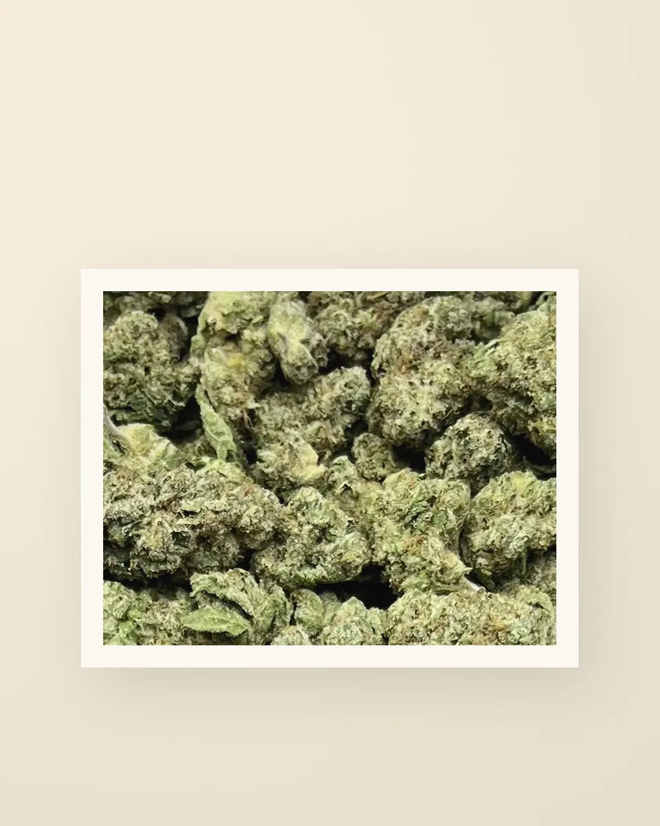 Caked Up Candy hemp THCA flower up close, greenhouse, a print on oat