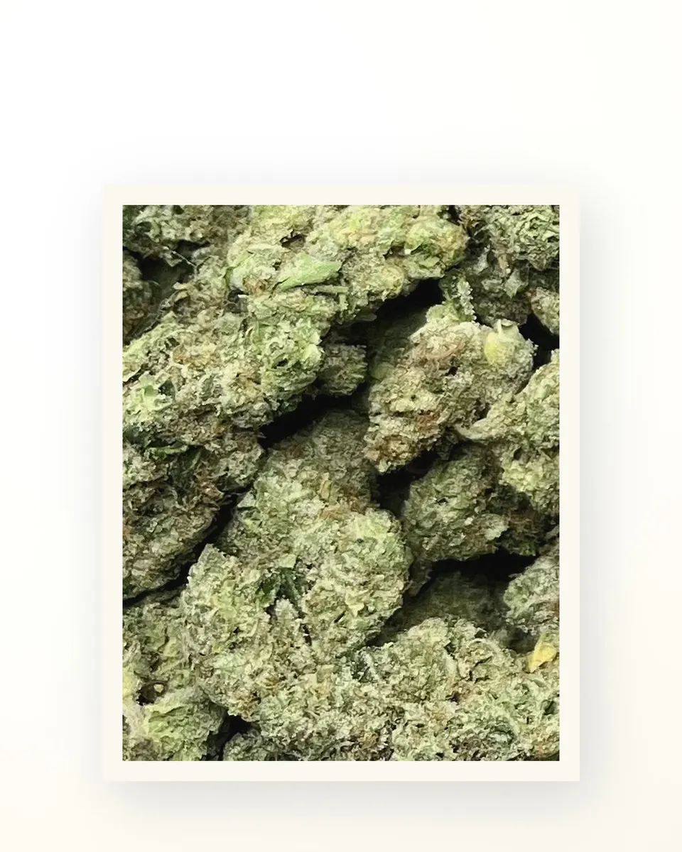 Donny Burger #5 hemp THCA flower, greenhouse, on oat linen
