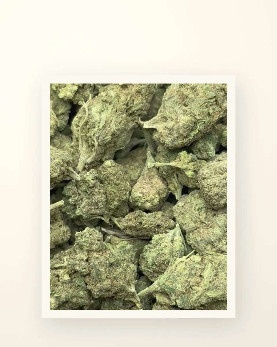 English Tea hemp THCA flower, greenhouse, on oat linen