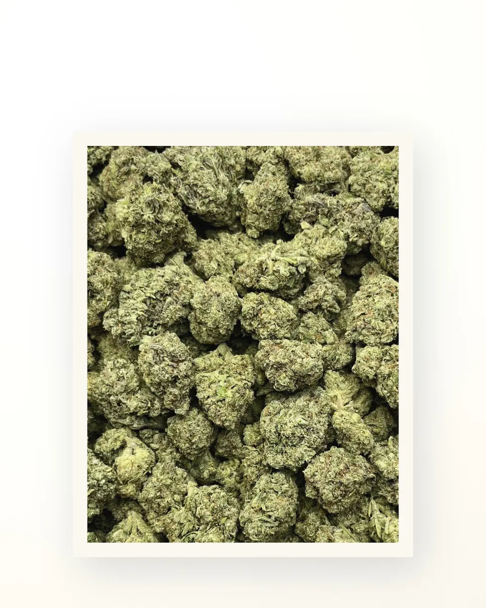 G41 hemp THCA flower, greenhouse, on oat linen