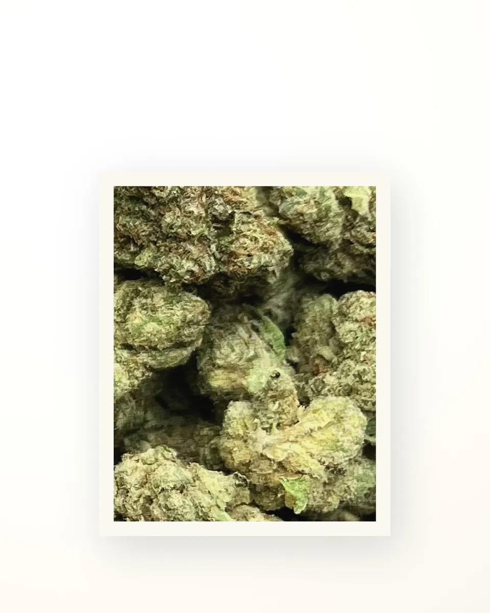 Gelonade hemp THCA flower, greenhouse, on oat linen