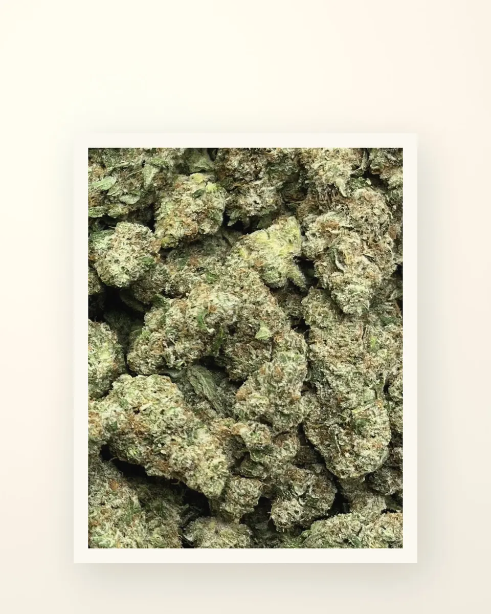 Glue Dawg hemp THCA flower, greenhouse, on oat linen