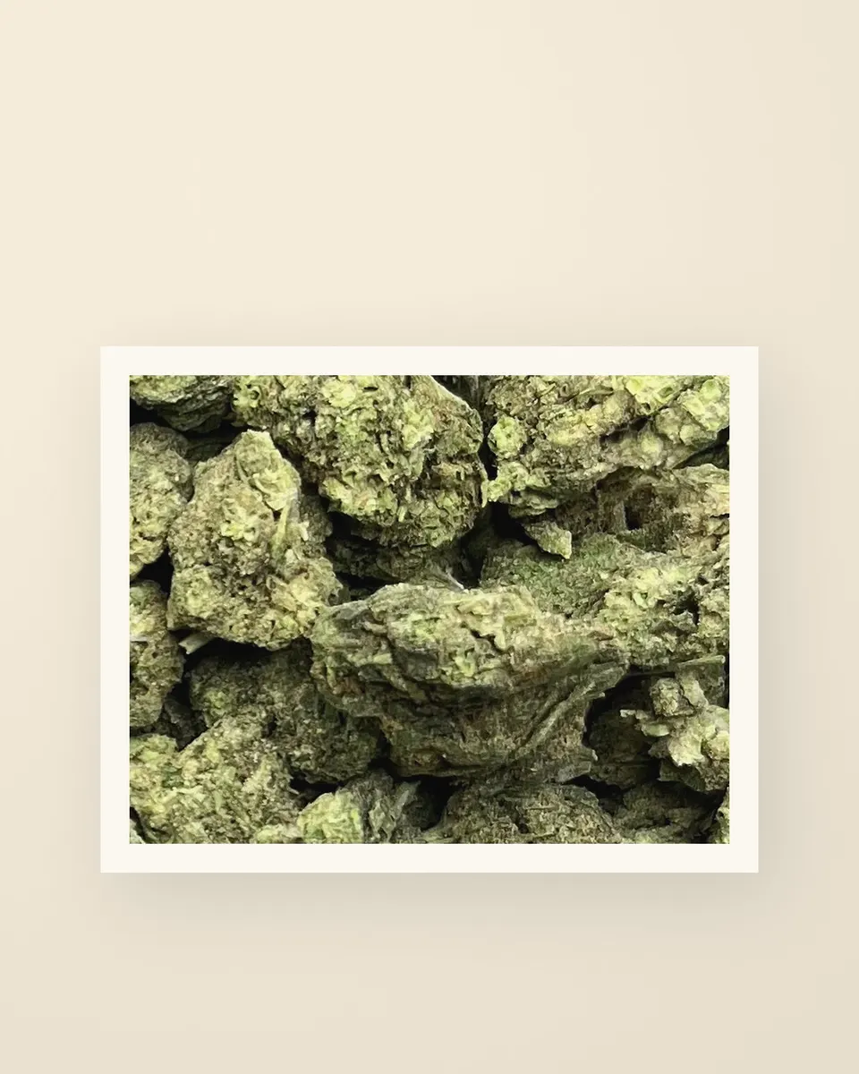 Grease Monkey hemp THCA flower up close, greenhouse, a print on oat