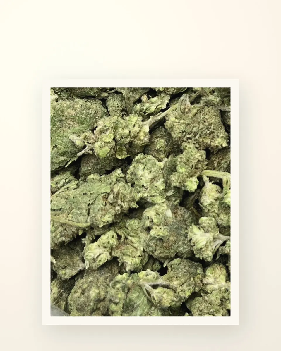 Grease Monkey hemp THCA flower, greenhouse, on oat linen