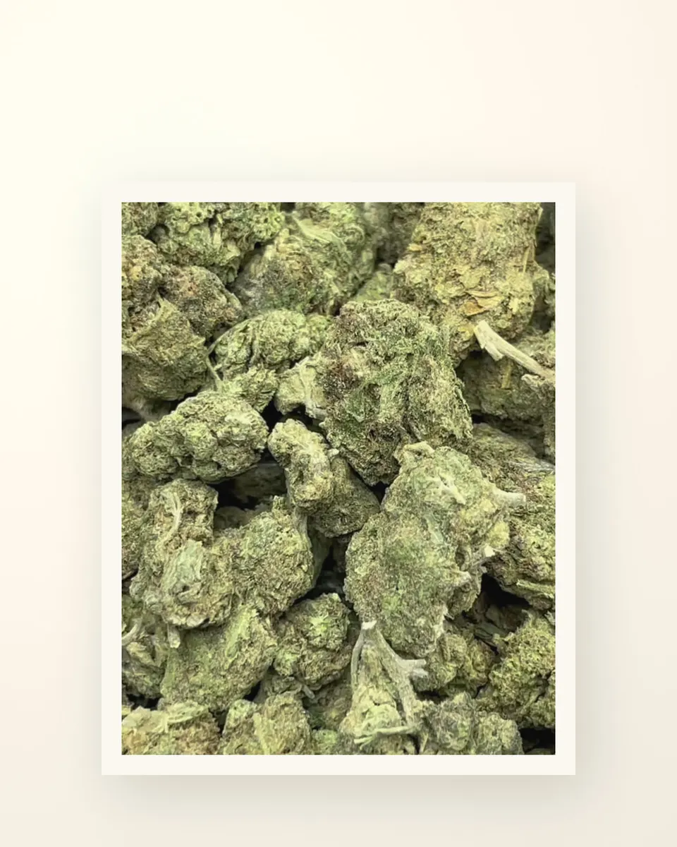 Motor Head hemp THCA flower, greenhouse, on oat linen