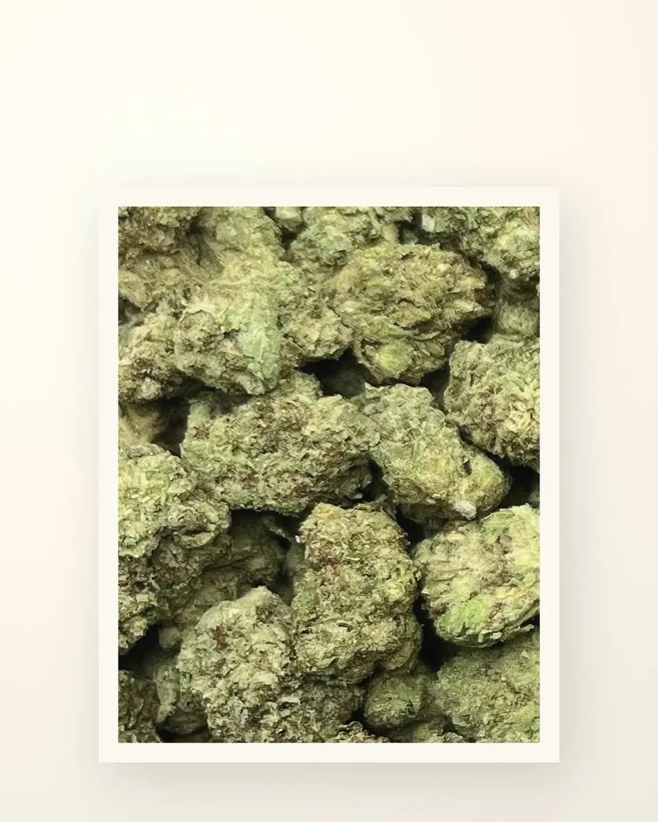 Red Velvet hemp THCA flower, greenhouse, on oat linen