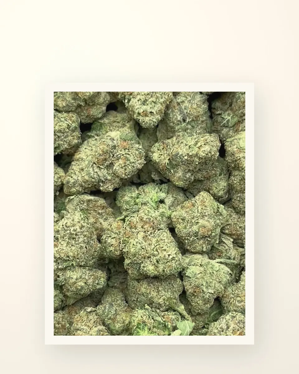 Rocket Pops hemp THCA flower, greenhouse, on oat linen